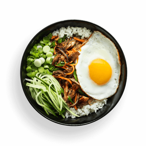 grilled duck donburi