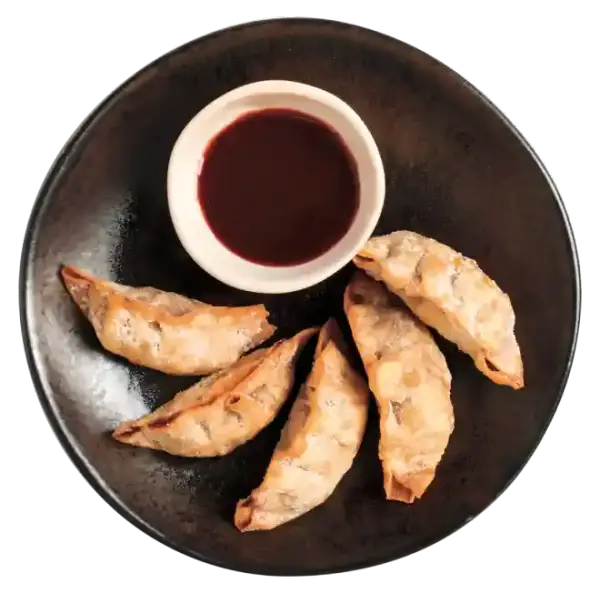 duck gyoza